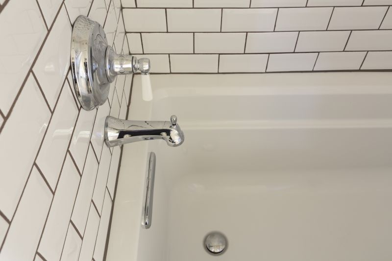 Senior Bathroom Remodelers detail